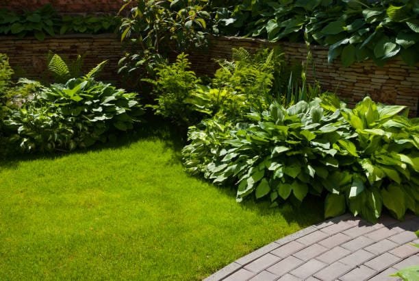 Garden stone path with grass growing up between the stones